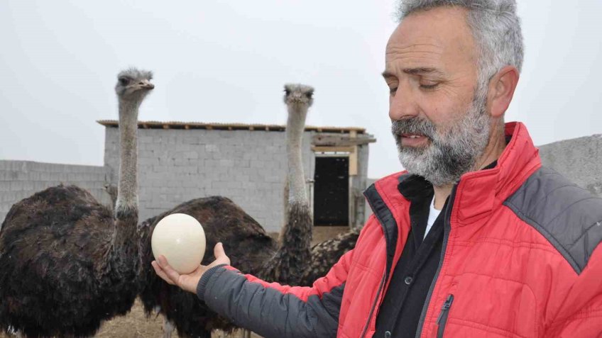Burası Afrika değil Kars
