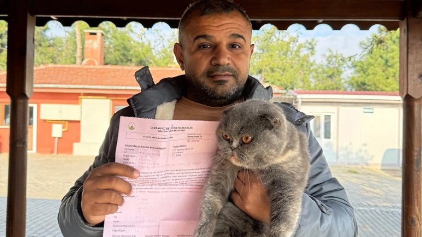 Bursa Osmangazi'de can dostlar sıcak yuvalara kavuştu