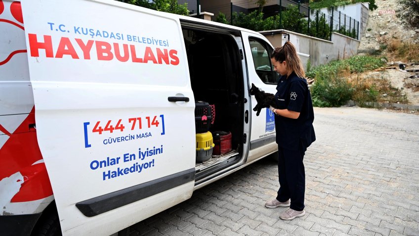 Kuşadası Belediyesi'nin Haybulans araçları 2024 yılında 21 bin 127 can dosta umut oldu 