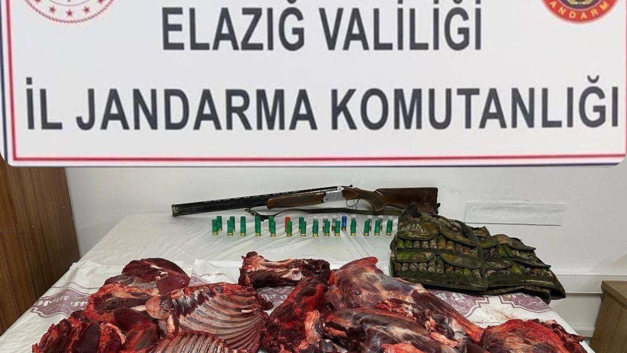 Elazığ’da dağ keçisini avlayan şahsa 650 bin lira ceza kesildi