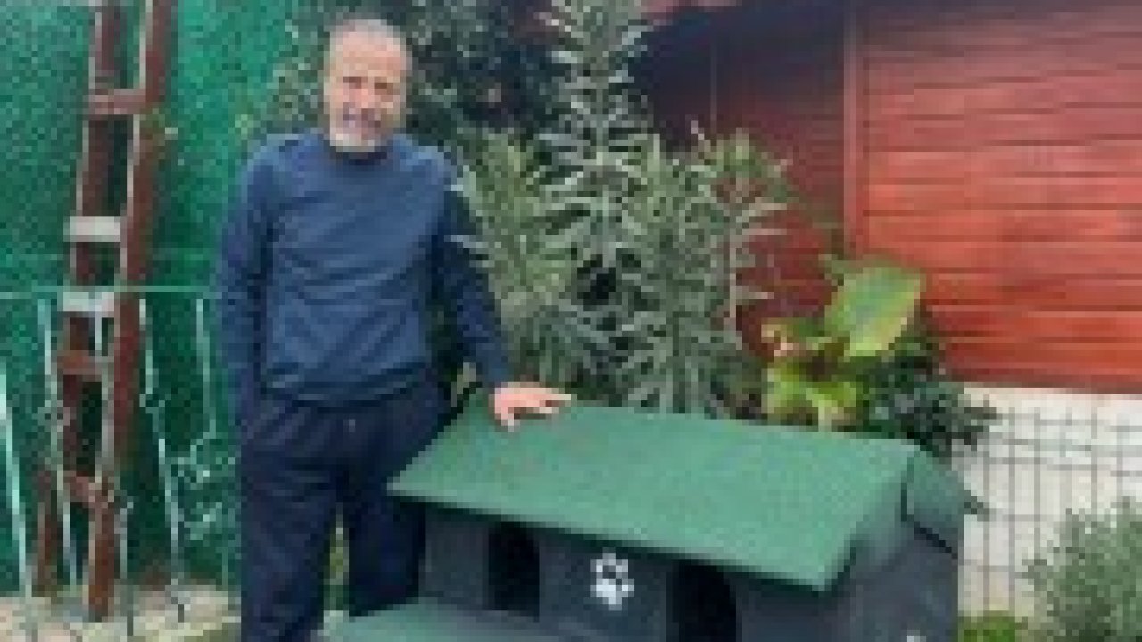 Silivri Belediyesi’nin dönüştürdüğü ahşap malzemeler, sokak kedilerine ev oluyor 