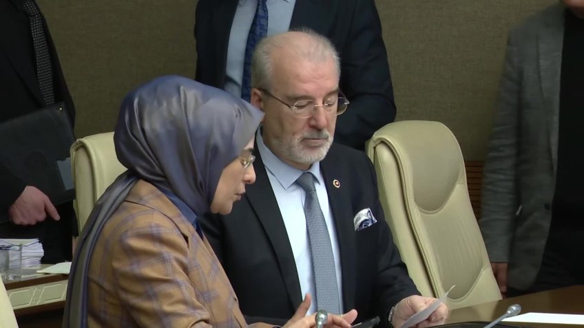 TBMM Kadına Karşı Şiddet ve Ayrımcılığın Önlenmesine Yönelik Meclis Araştırma Komisyonu'nda 'dijital şiddet' sunumu