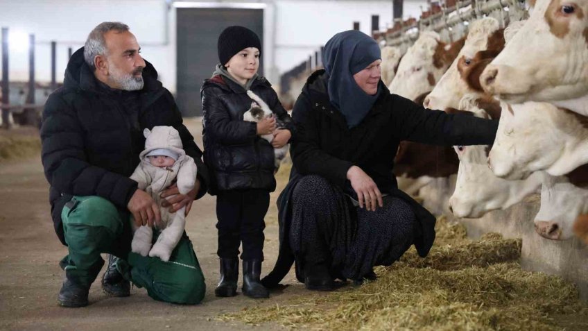 TKDK’dan aldığı destekle ülkesine dönüp çiftlik kurdu, 432 ton süt üretiyor