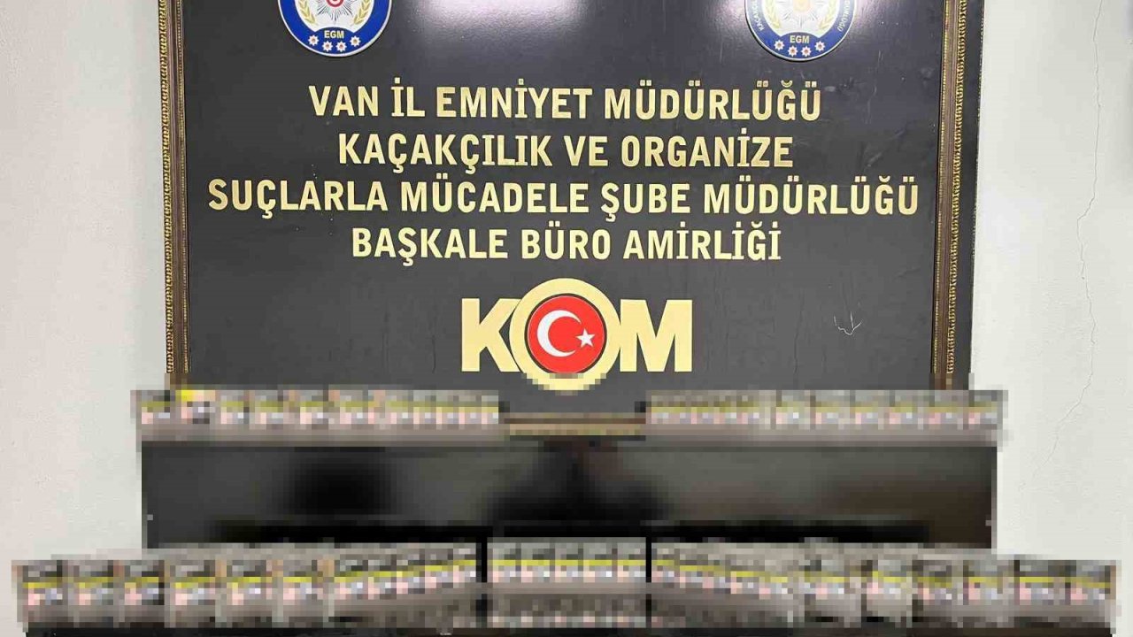 Van’da gümrük kaçakçılığı operasyonu