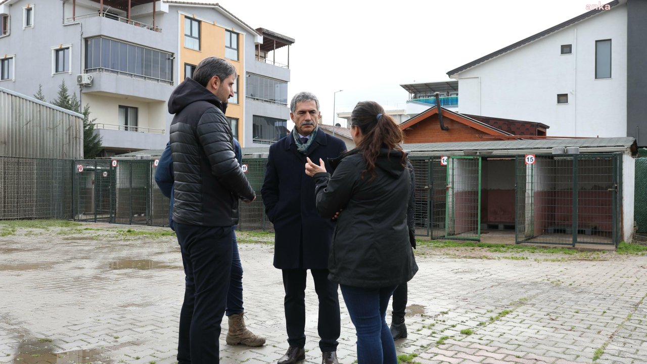 Gemlik Belediyesi Umurbey Hayvan Rehabilitasyon Merkezi, yeniden faaliyete geçiyor 