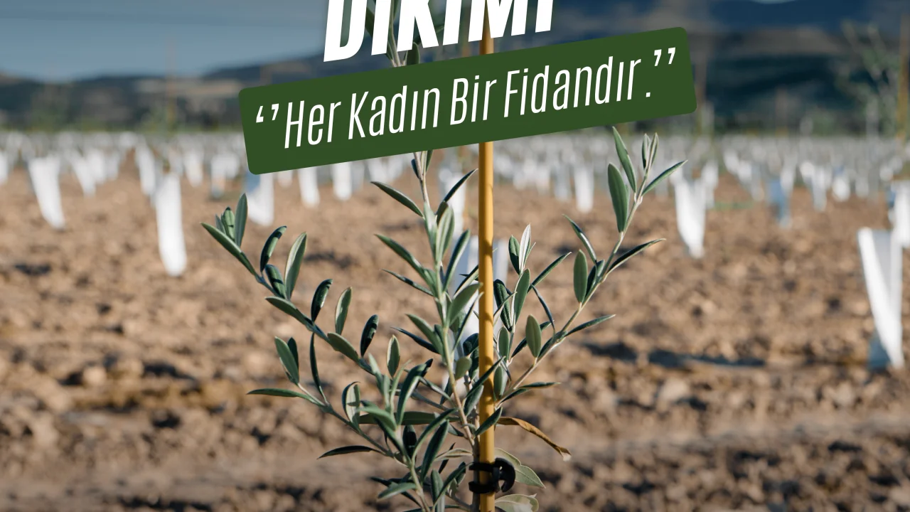 Marmaris Belediyesi'nden Kadınlar Günü’ne özel bir dizi etkinlik