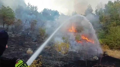 Hakkari’de 3 farklı bölgede çıkan yangın itfaiye ekiplerince söndürüldü