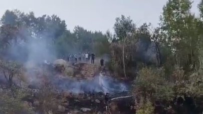 Hakkari’de ormanlık alanda yangın