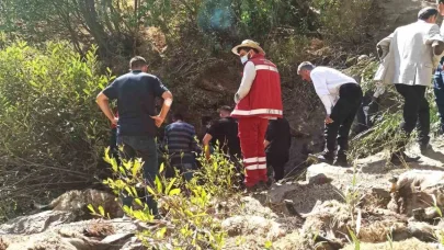 Van’da 334 koyun uçurumdan düşerek telef oldu