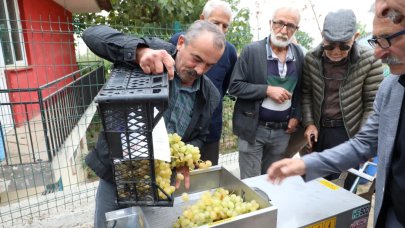 Bursa İnegöl'den üzüm hasadını kolaylaştıran destek