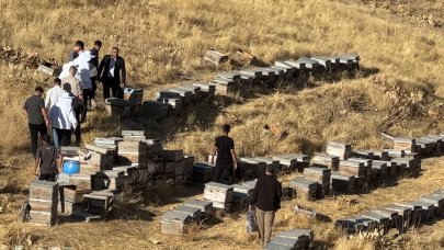 Yüksekova’da bal hasadı başladı