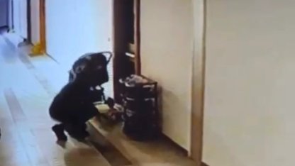 Düzce'de kuryenin ayakkabı hırsızlığı kameraya yansıdı