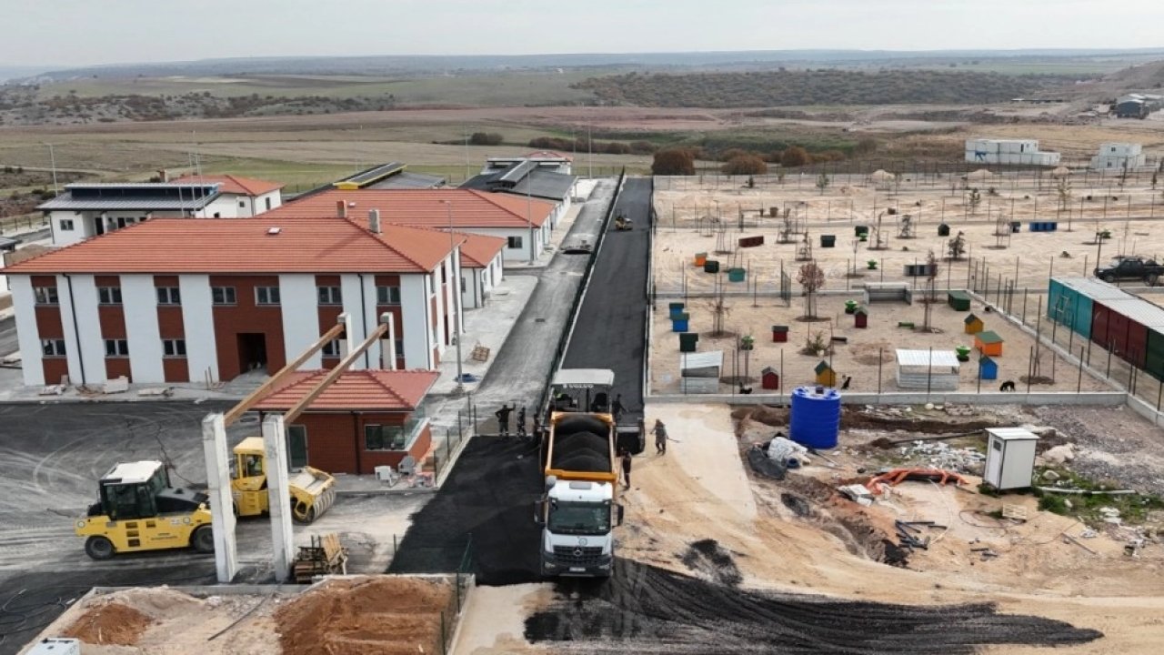 Eskişehir&#039;de hayvan barınağında sona yaklaşılıyor