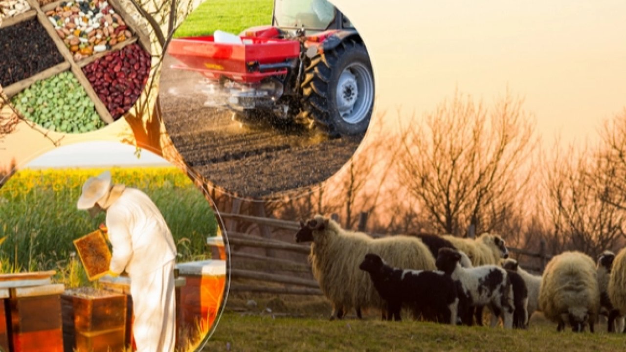 2 milyar TL'lik tarımsal destek hesaplarda