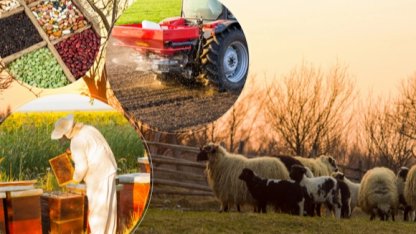 2 milyar TL'lik tarımsal destek hesaplarda