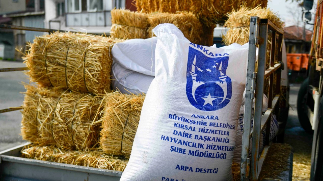 Ankara&#039;da mandacılara yüzde yüz hibeli yem desteği