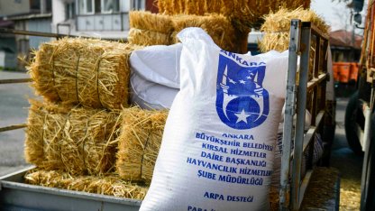Ankara'da mandacılara yüzde yüz hibeli yem desteği
