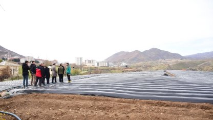 Batman Sason’da çilek üreticilerine ziyaret