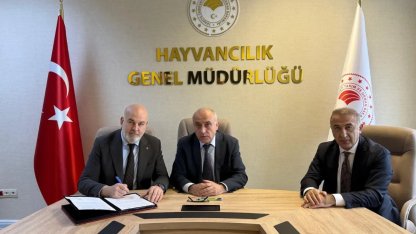 Besilik hayvan krizine neşter! İki kritik protokolle yerli üretim güçlenecek