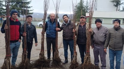 Bilecik Pazaryeri’nde meyveciliğe güçlü destek
