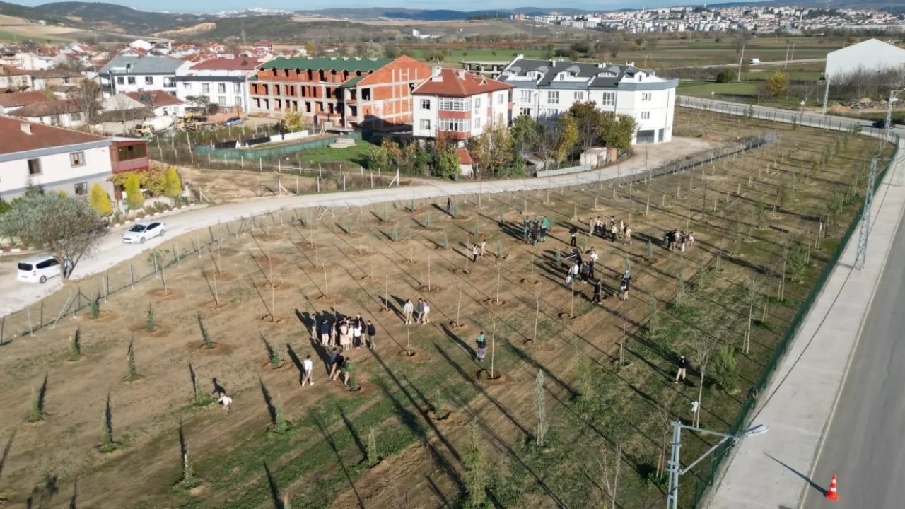 Bursa İnegöl&#039;de 572 fidanlı koruluk Akhisar&#039;a nefes oldu