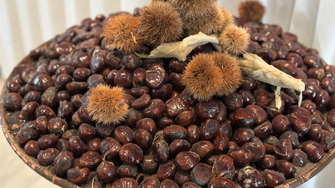 'Bursa Kestanesi'nin geleceği masaya yatırıldı