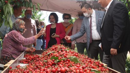 Çeribaşı Kirazı’na coğrafi işaret tescili