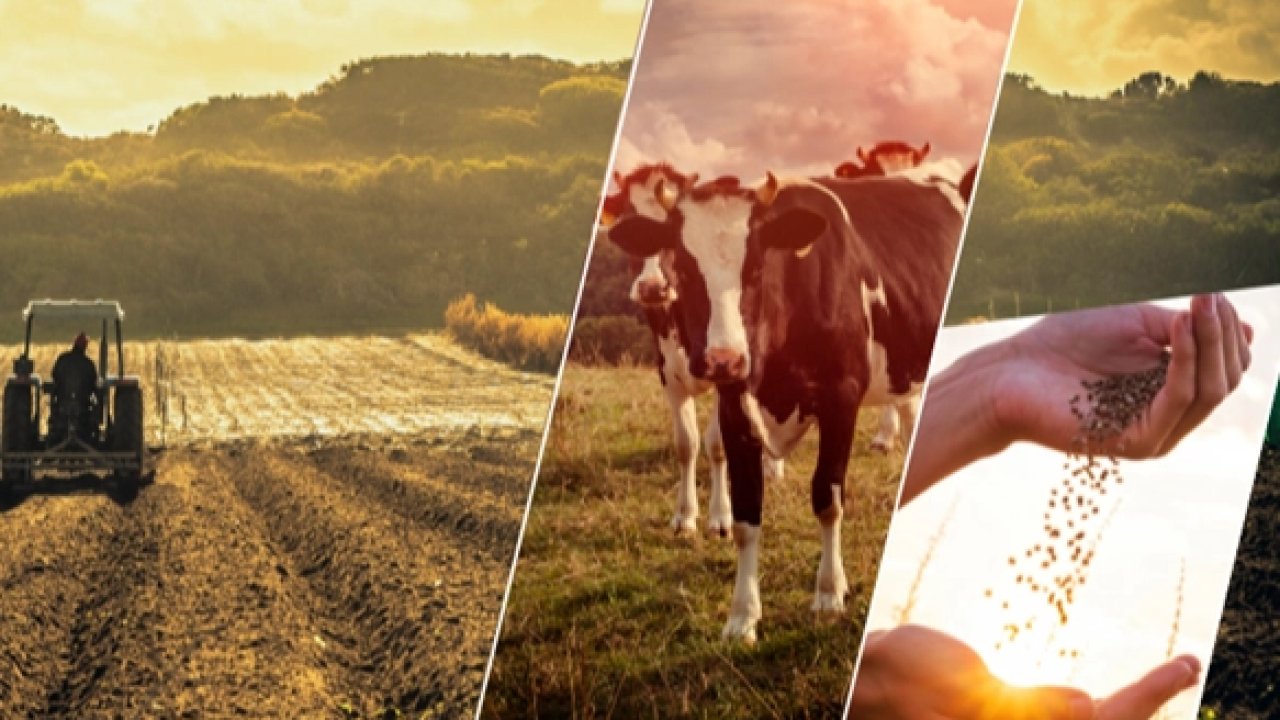 Çiftçiye 1,1 milyar TL&#039;lik destek ödemesi başladı