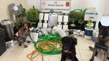 Düzce’de uyuşturucu operasyonu: 1 gözaltı
