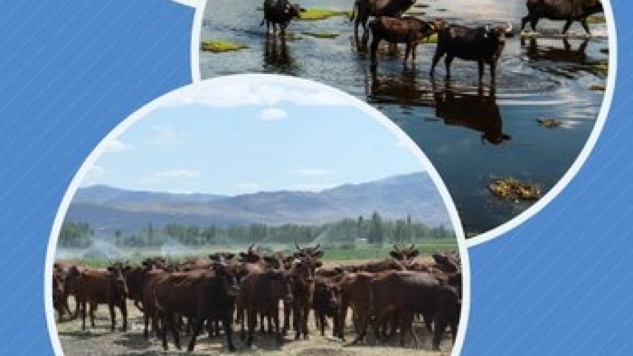 Halk elinde ıslaha 2,7 milyar TL destek