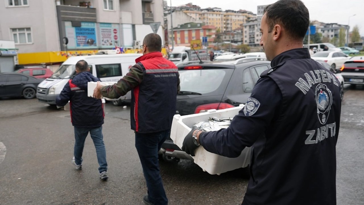 İstanbul Maltepe'de balık denetimi