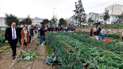 İzmir Bornova'da kent bostanlarında hasat coşkusu