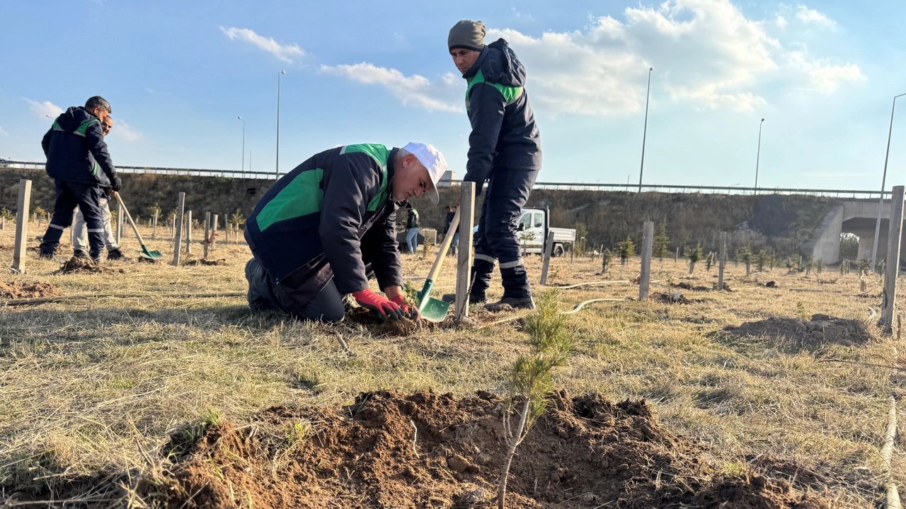 Kayseri Büyükşehir'den kentin yeşil alan varlığına destek