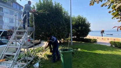 Kocaeli Büyükşehir'den yeşil alanlara özel bakım