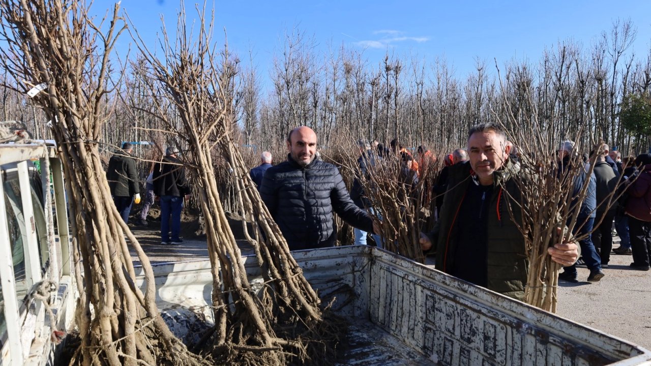 Kocaeli'de üreticilere yüzde 50 hibeli fidan dağıtımına devam