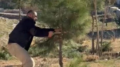 Mardin Artuklu'da muhtar kendi elleriyle ağaçları budadı
