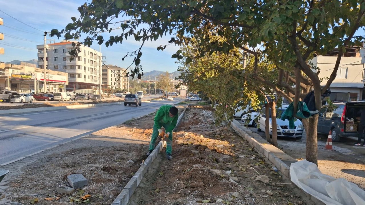 Muğla Milas&#039;ın dört bir yanı yeşile bürünüyor