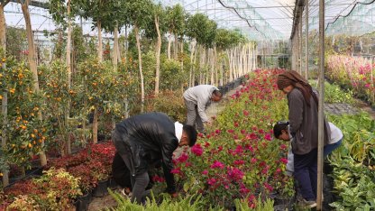 Muğla'dan yerel kalkınmaya 'Büyük' katkı