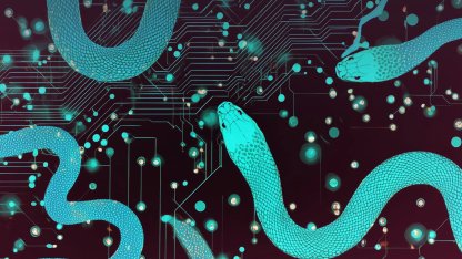 Oyun gibi gözükse de gerçekte siber casusluk!