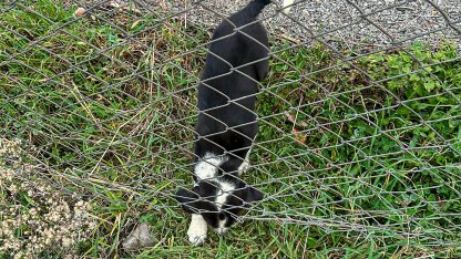 Sakarya'da 11 metrelik çukurdan sağ salim kurtarıldı