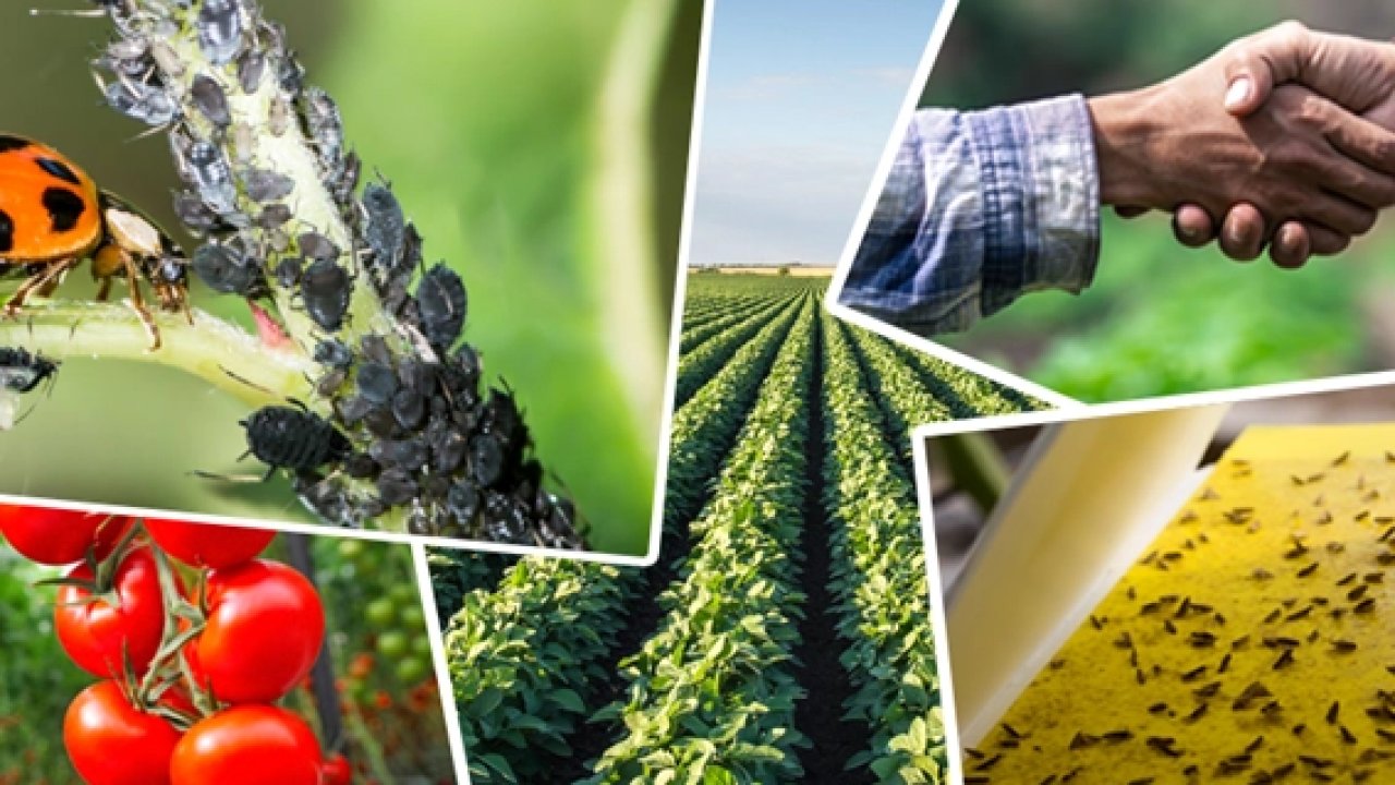 Tarımsal üretimi destekleyecek önemli düzenleme... Tarımsal destek ödemelerine ayar