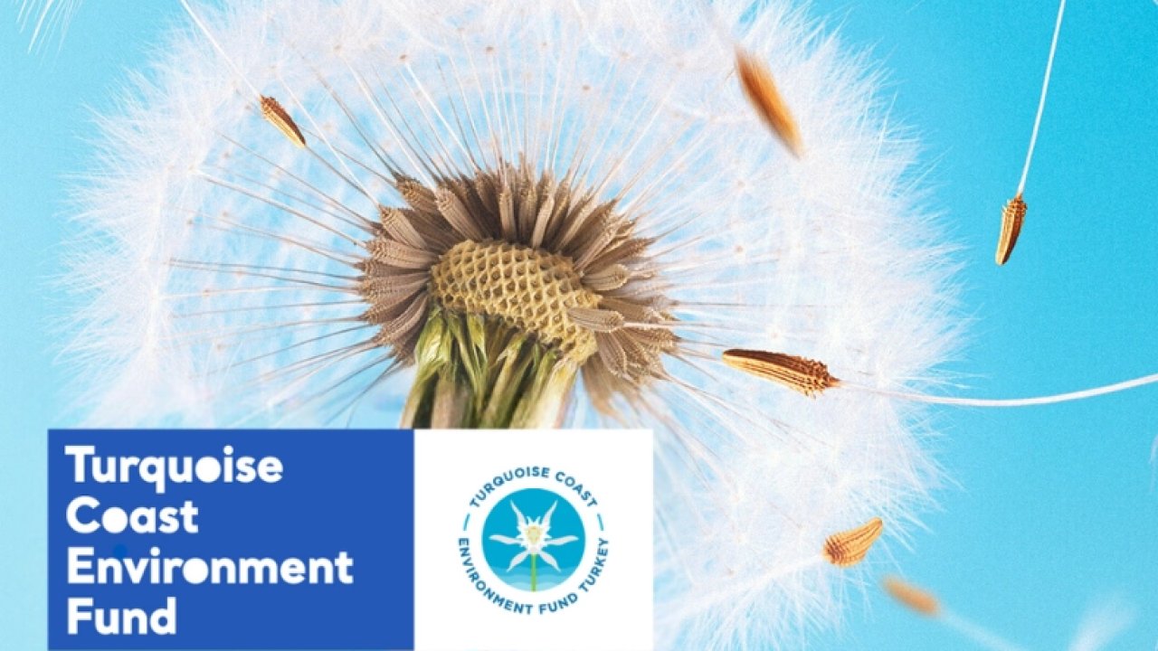 TCEF 2026 Hibe Programı'nda Türkiye'nin güney ve batı kıyılarına destek... Son başvuru 25 Ocak
