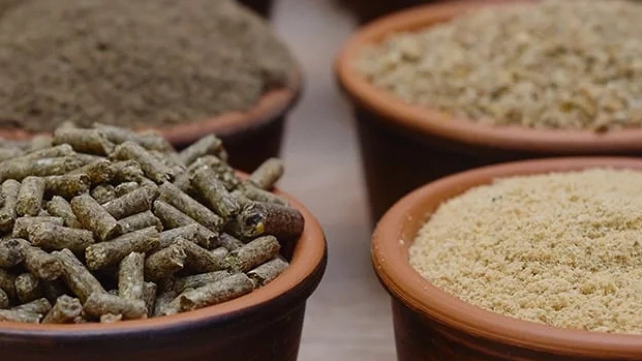 Yem Yönetmeliği'nde değişiklik 'Resmi'leşti... Gıdadan yeme büyük dönüşüm!