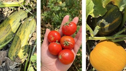 Balıkesir'de ‘ümit var’ sayısı 84’e yükseldi