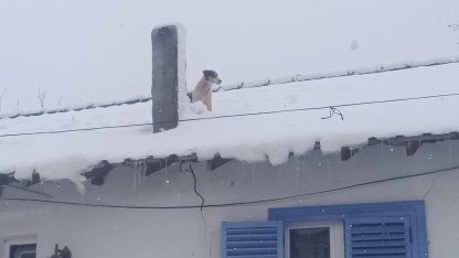 Bilecik Pazaryeri'nde kar altında kurtarma operasyonu