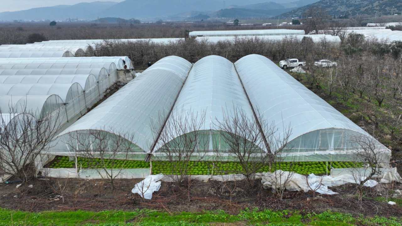 Bursa'da lodoszede seralara Büyükşehir desteği