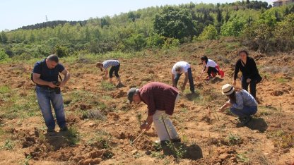 ÇEKÜL’den doğaya 116 bin can! 7 Ağaç Ormanları 2025’te rekor dikime ulaştı