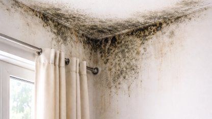 DEÜ’lü profesörden uyarı: Nem ve küf sağlığı tehdit ediyor