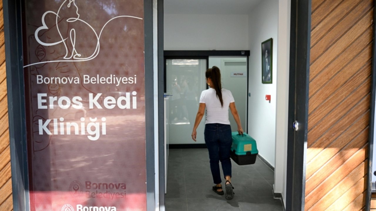 Eros Kedi Kliniği Bornova’da umut oldu