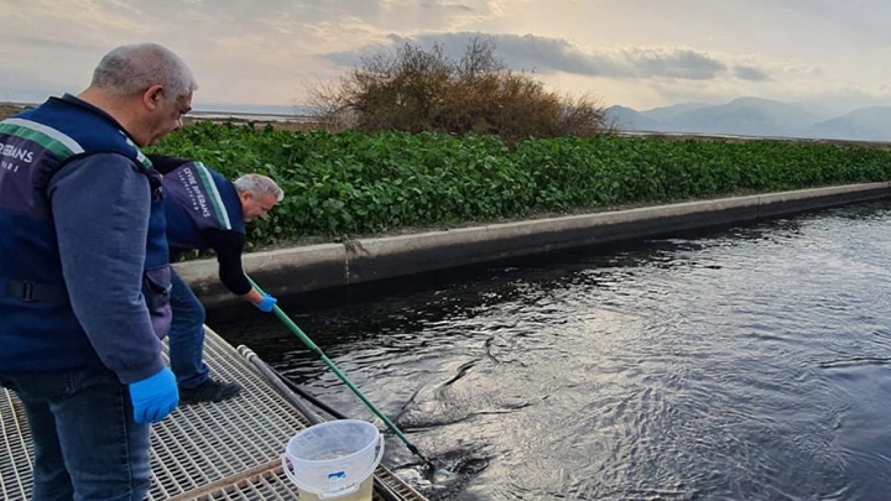 Gediz'de çevre kıyımına geçit yok!